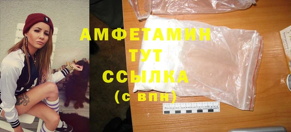 индика Рославль